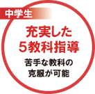 小学生はわかる楽しさを教えます。